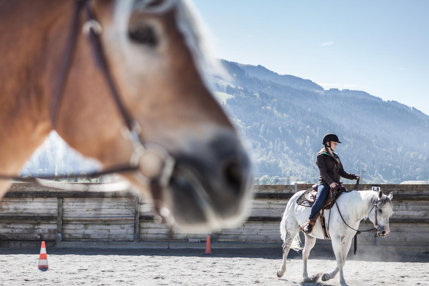 Schülerin der LLA Weitau reitet ein Pferd Schülerin der LLA Weitau reitet ein Pferd