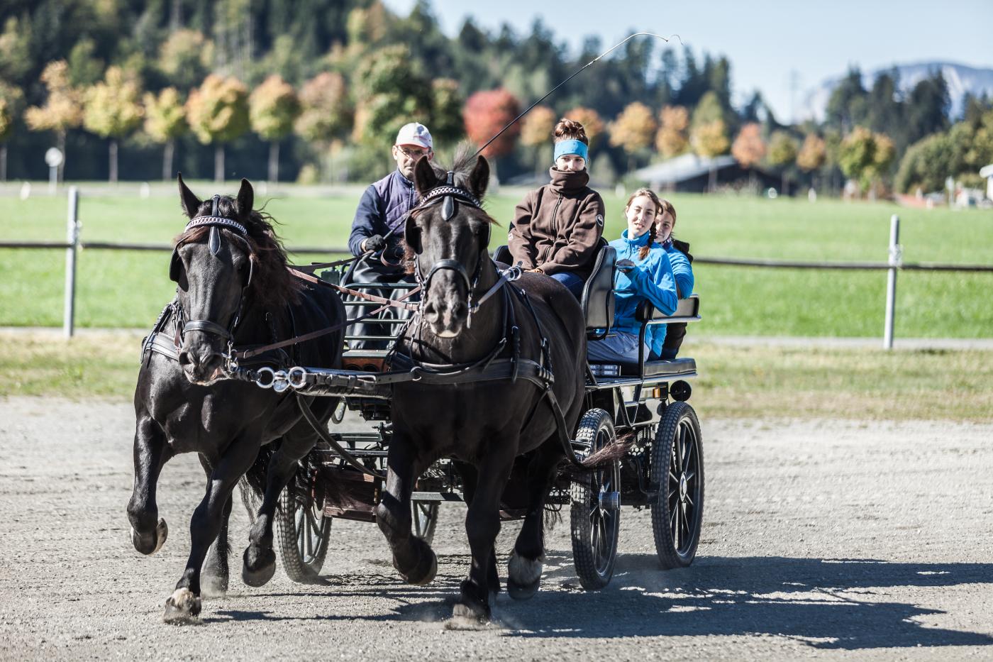 Schülerinnen der LLA Weitau fahren ein Pferdegespann