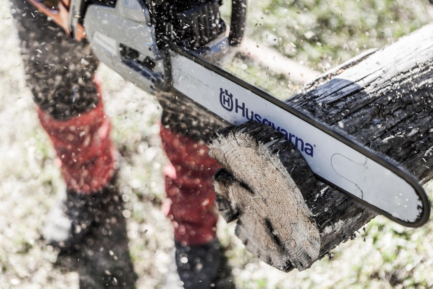 ein Baumstamm wird mit einer Motorsäge durchtrennt ein Baumstamm wird mit einer Motorsäge durchtrennt