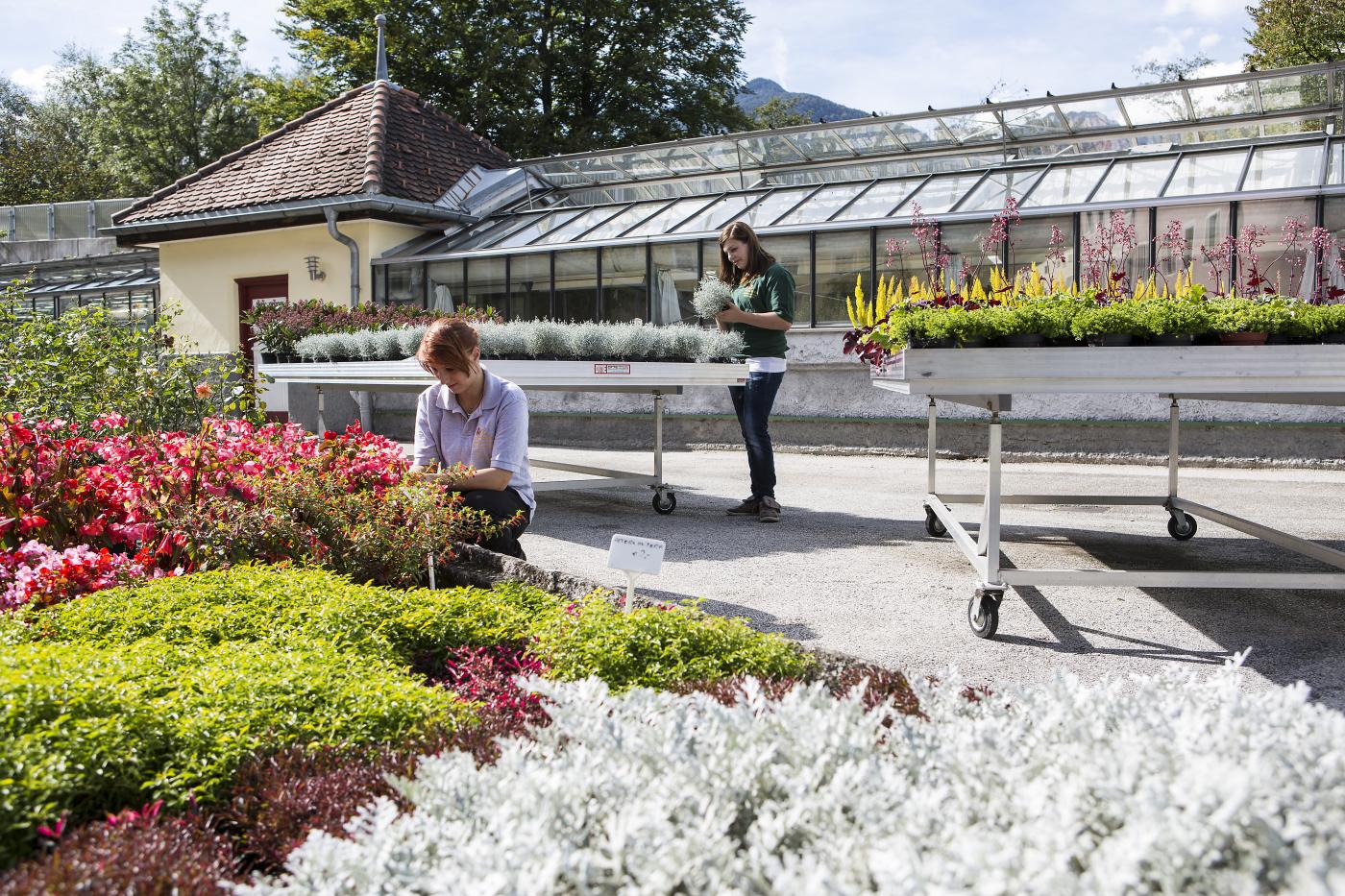 Schülerinnen der LLA Rotholz/Fachberufsschule für Gartenbau bei der Pflanzenpflege vor dem Gewächshaus Schülerinnen der LLA Rotholz/Fachberufsschule für Gartenbau bei der Pflanzenpflege vor dem Gewächshaus
