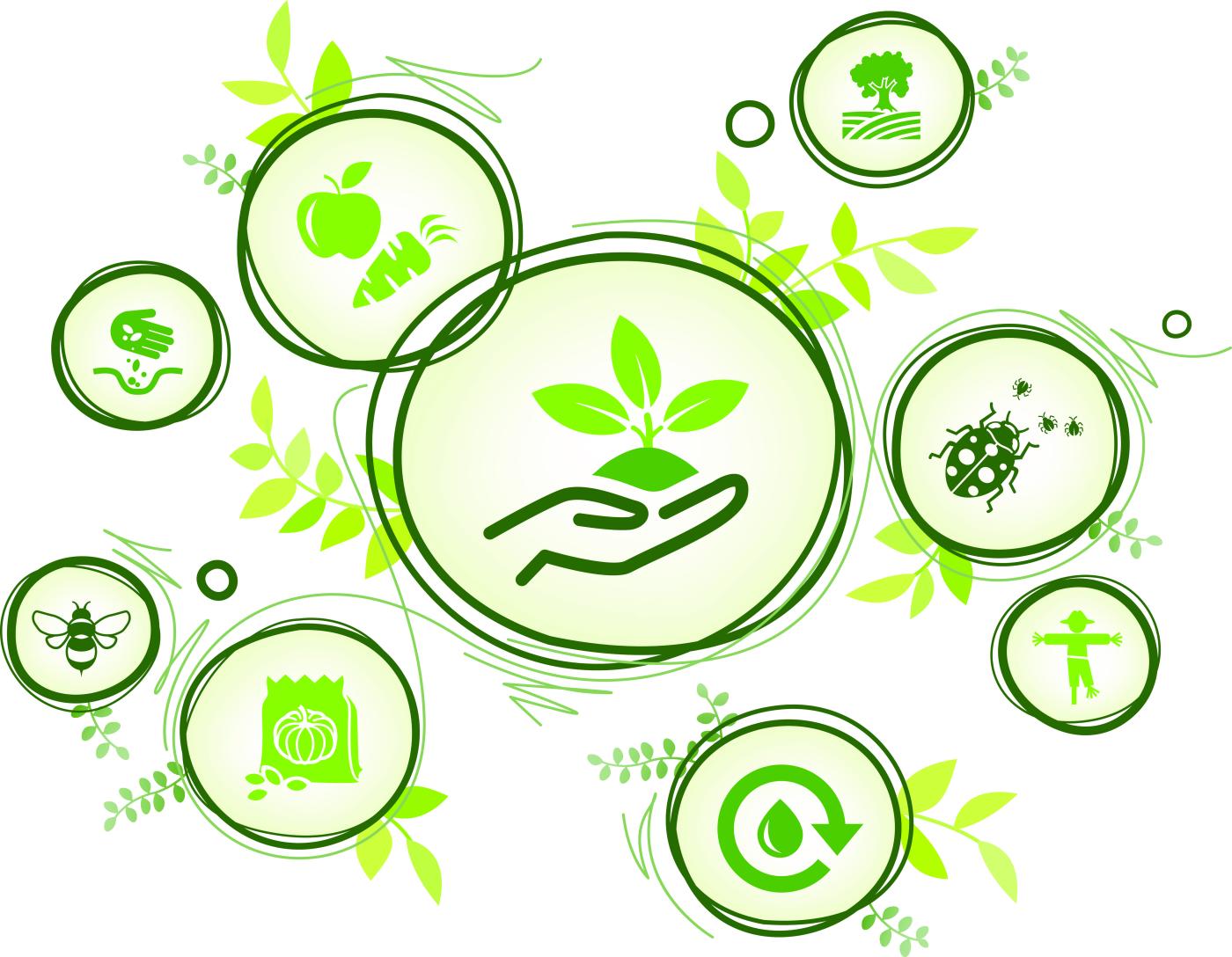 Kreislauf Landwirtschaft Kreislauf Landwirtschaft