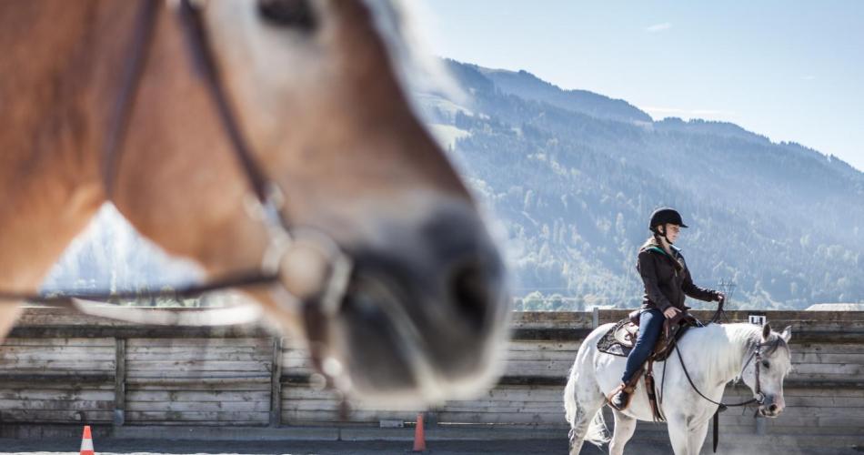 Schülerin der LLA Weitau reitet ein Pferd