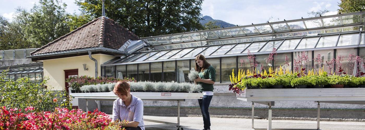 Schülerinnen der LLA Rotholz/Fachberufsschule für Gartenbau bei der Pflanzenpflege vor dem Gewächshaus